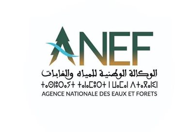 ANEF